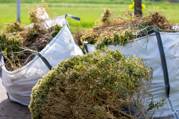 Debris Removal in Bethlehem Village, CT